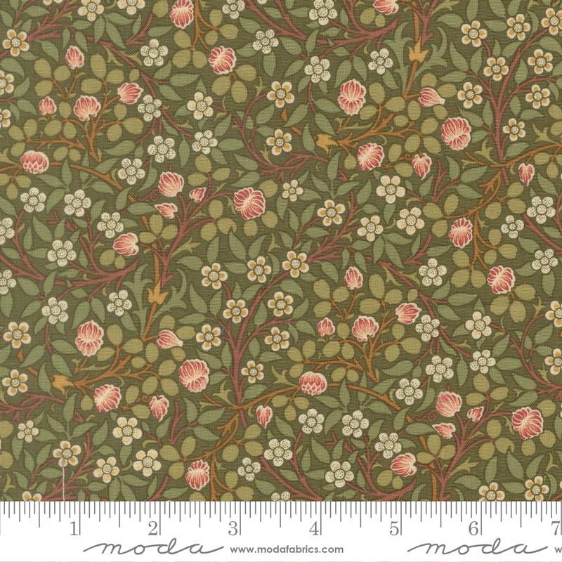 Morris Muse || Clover || Sage