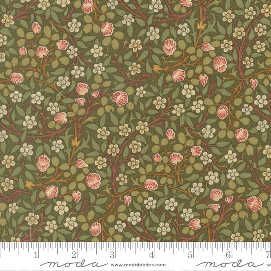 Morris Muse || Clover || Sage