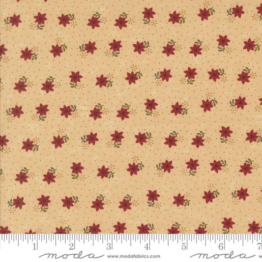 A Vintage Christmas Cactus Florals Tan