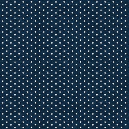 Stars of Valor Navy Little Stars All Over