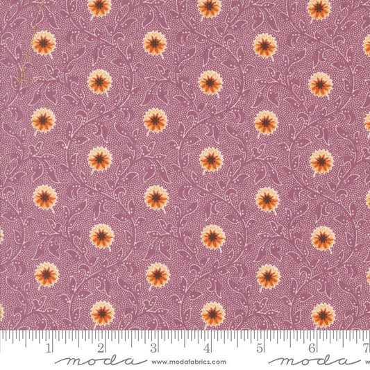 Pumpkin Spice Gatherings Flowering Blooms in Mulberry