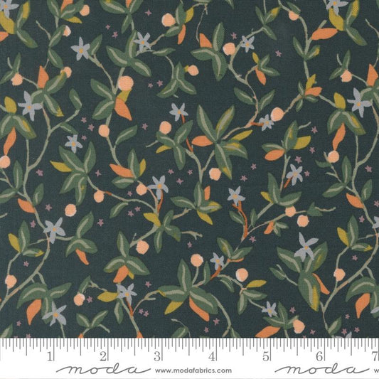 Peachy || Vines || Midnight