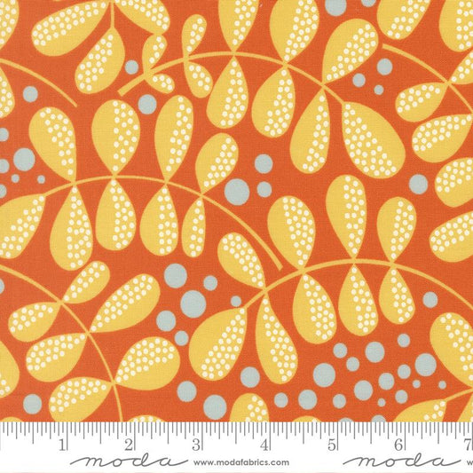 Balisong Papaya 11663 16 Moda #1