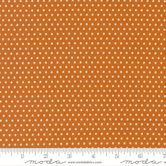 Animal Park Fun Tiger Dots