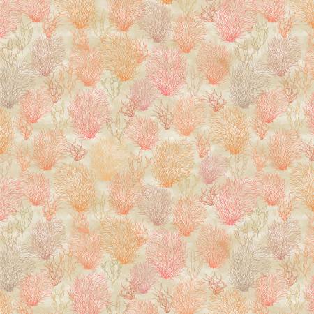 Ocean Song Coral Coral Reef