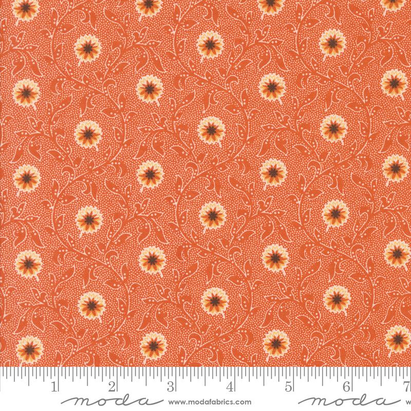 Pumpkin Spice Gatherings Flowering Blooms in Pumpkin