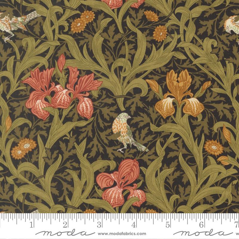 Morris Muse || Iris || Ebony