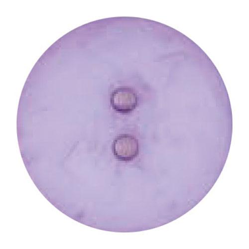 ROUND LIGHT LILAC 45MM BUTTON