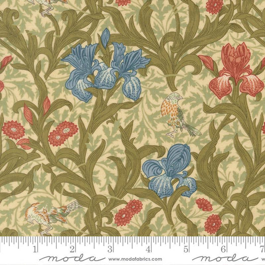 Morris Muse || Iris || Parchment