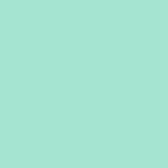 ColorPlay Cotton Organic - Mint