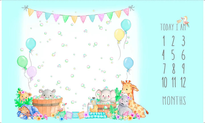 Little Ones || Milestone Blanket