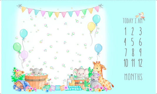 Little Ones || Milestone Blanket