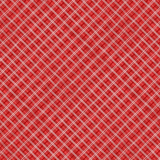 Paws At Play || Plaid || Red