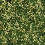 Blue Jay Song Green Gold